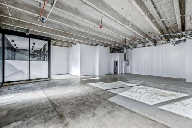 Unit 5/58 Gaunt Street Wynyard Quarter_4