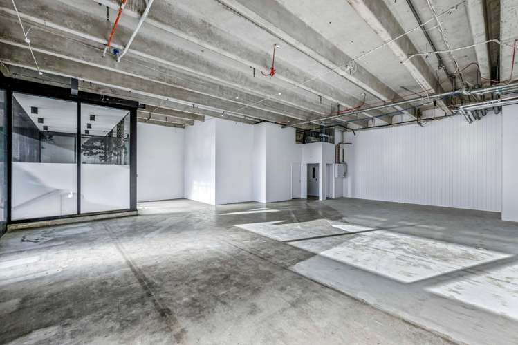 Unit 5/58 Gaunt Street Wynyard Quarter_4