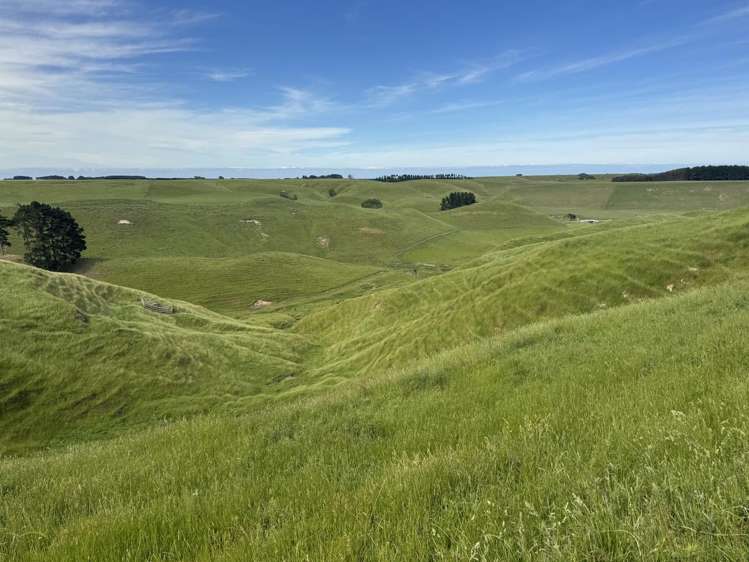 302 Bruce Road Turakina_2