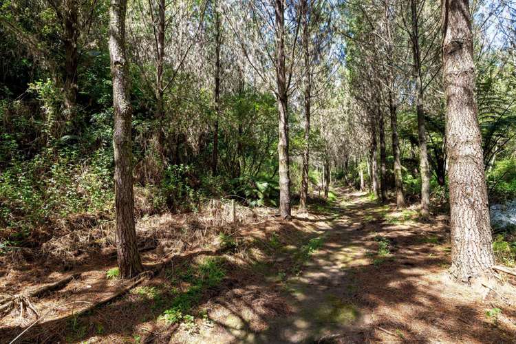 2 Sarona Park Drive Omanawa_12