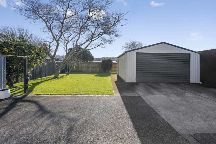 267 Oxford Terrace Avalon_15