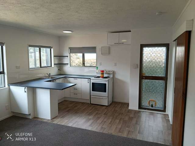 Fully renovated 1 Bedroom Unit with Large Cabin.