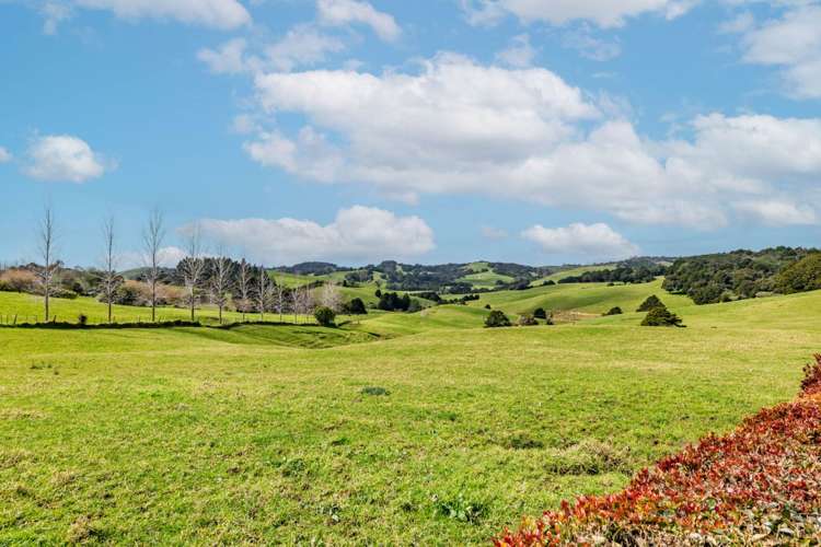 500 Hautapu Road Pakaraka_28