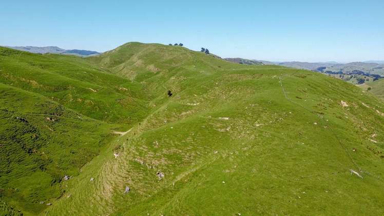 918 Pahiatua Pongaroa Road Pahiatua_10
