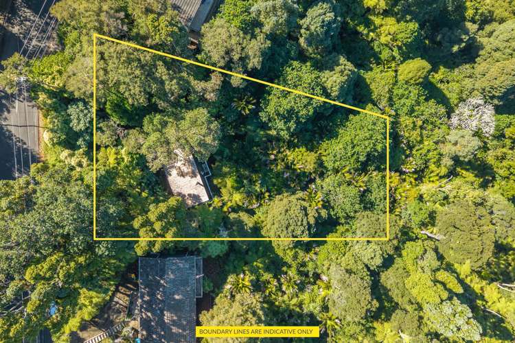 45 Takahe Road Titirangi_15