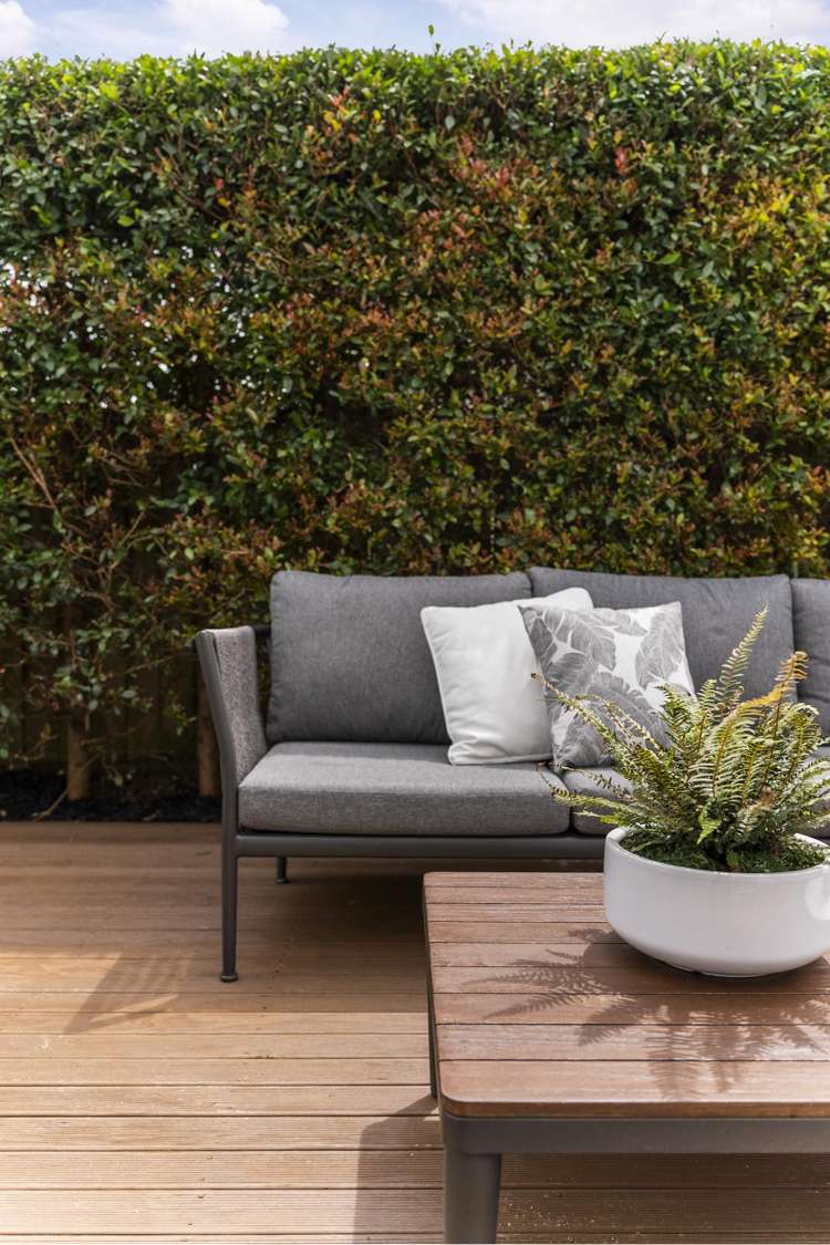 148A Nile Road Milford_6