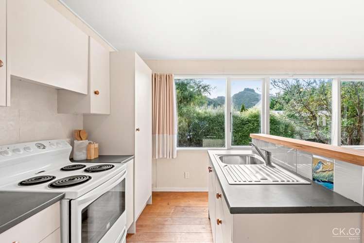 63f Black Beech Street Birchville_8