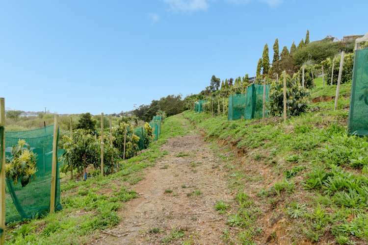 79 Sapphire Drive Hairini_13