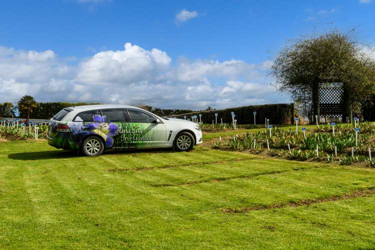 120 Walford Road Aongatete_21