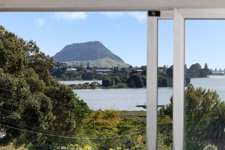 51 Churchill Road Judea_5