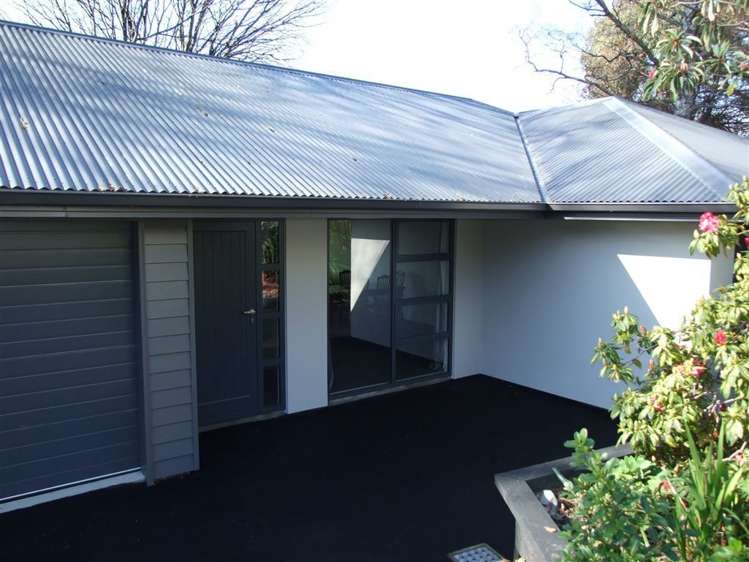 4b Will Street Green Island_13