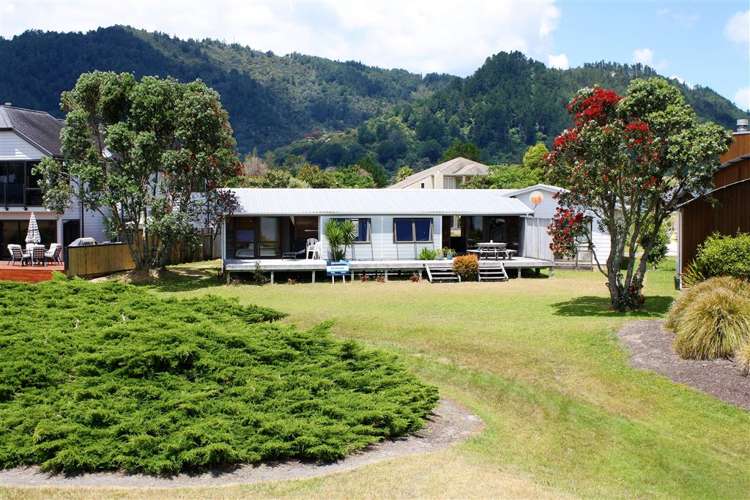 12 Ajax Head Pauanui_12