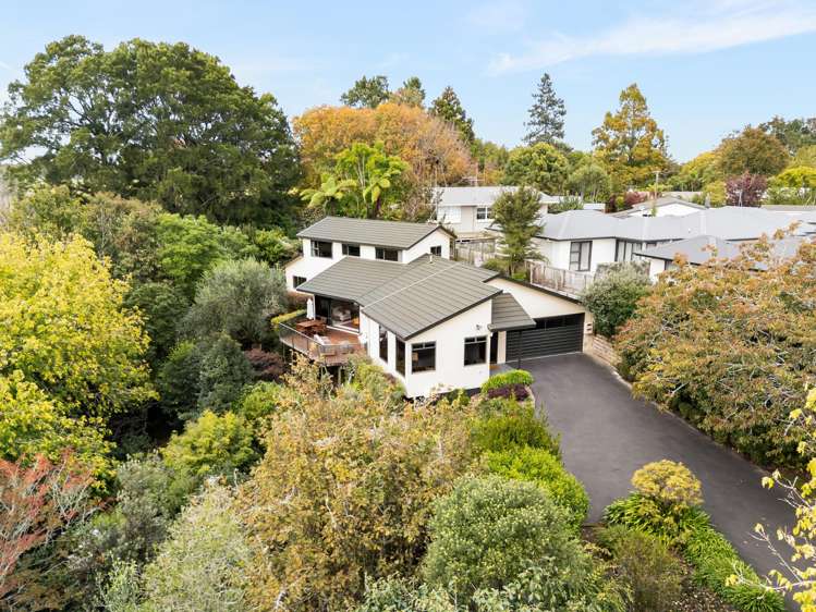 20A Donny Avenue Chartwell_19