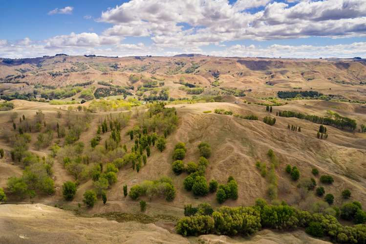 399 Te Apiti Road Waimarama_13