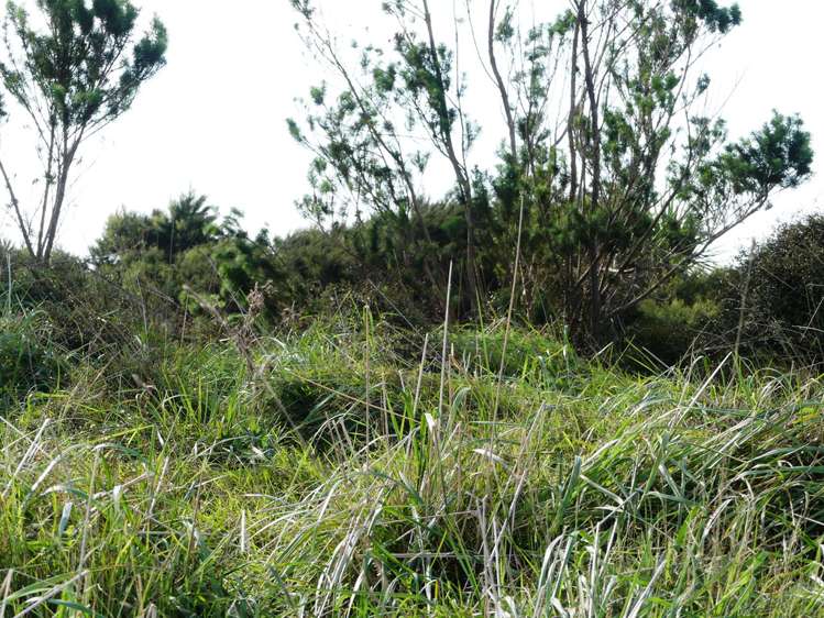 230 Schooner Bay Road Great Barrier Island (Aotea Island)_9