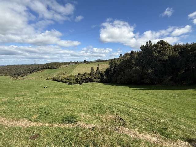 Mangati Road Puketotara_2