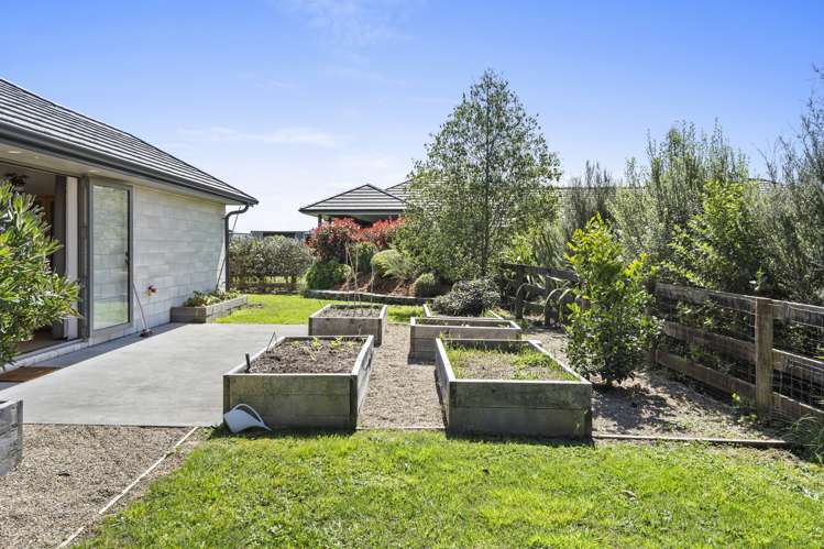 7 Pukeko Grove Cambridge_34