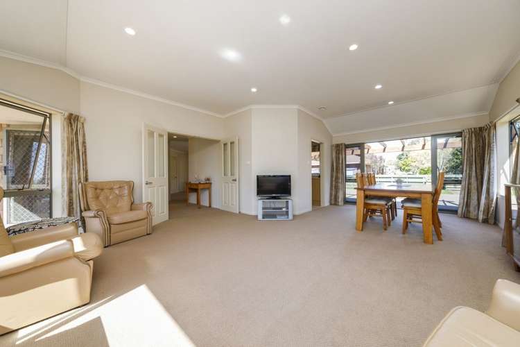 5 Wilson Street Bulls_6