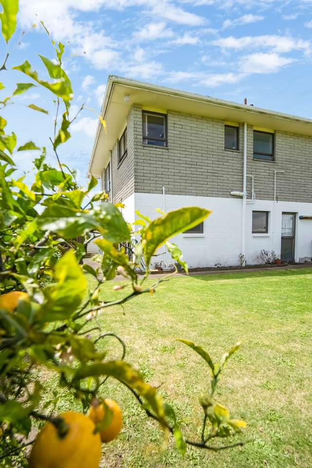 2/6 Princess Street Waitara_4