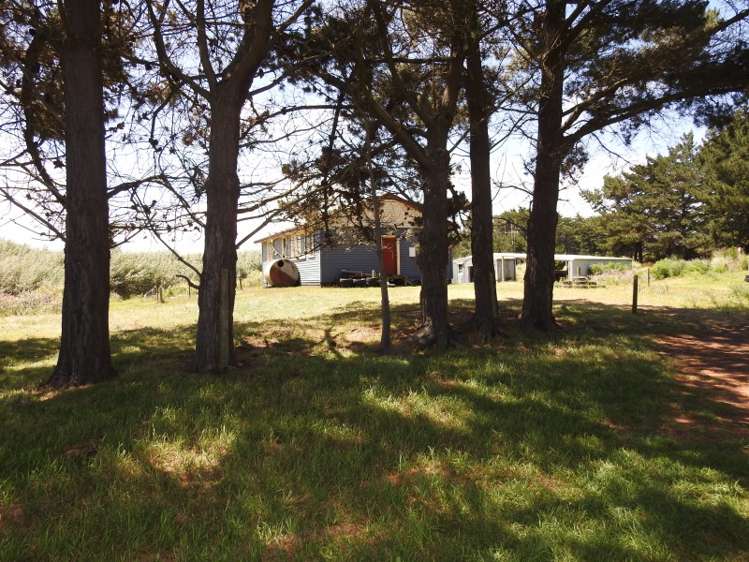 74b Himatangi Street Himatangi Beach_22