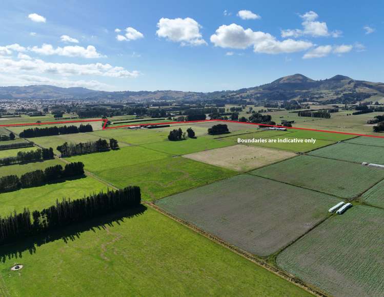 310 Bush Road Mosgiel_1