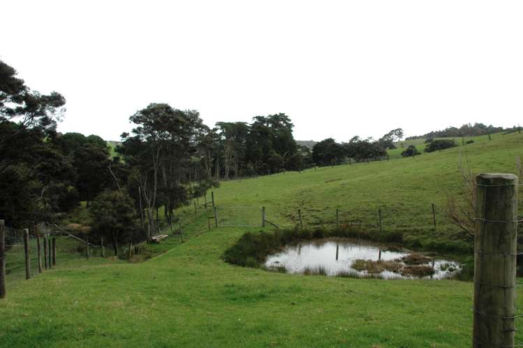 156 Shanks Road Helensville_18