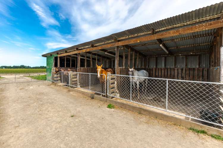 14 Arowhenua Station Road Kerrytown_17