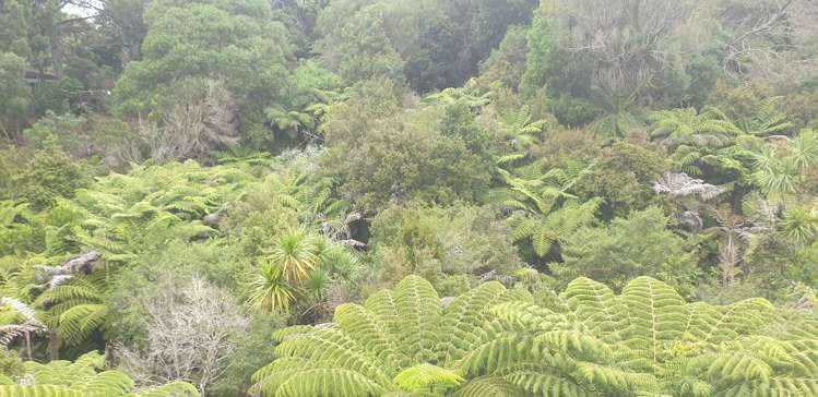 3 Lincoln Close Northcross_14