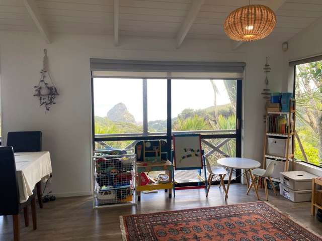 22 Pendrell Road Piha_4