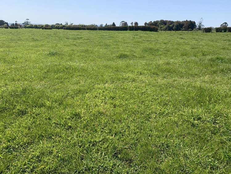 2442 Mountain Road Tariki_12