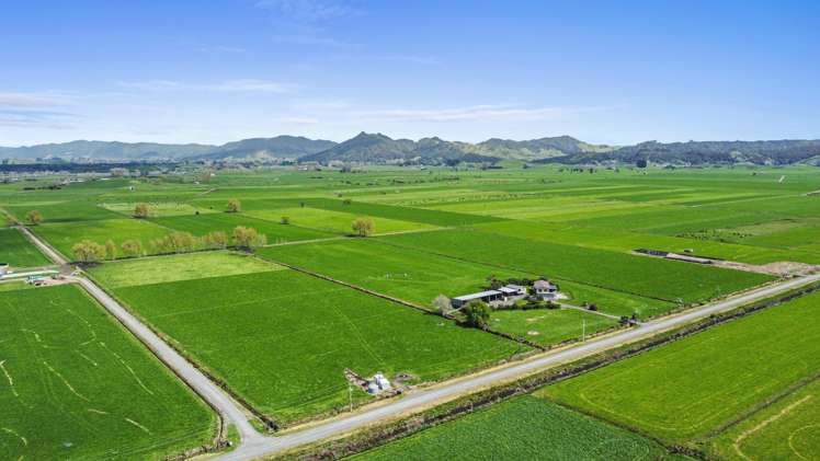 349 Uapoto Road Taupiri_4