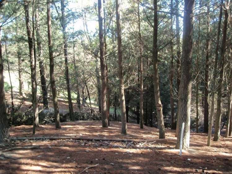 522 Ardgour Road Westland Surrounds_5