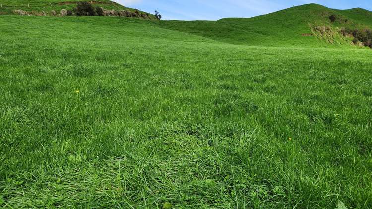 348 Ratapiko Road Ratapiko_17