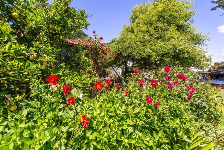 41a Charlesworth Street Woolston_13