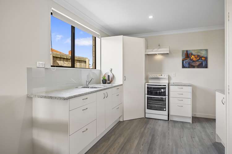 123f Macandrew Road South Dunedin_2