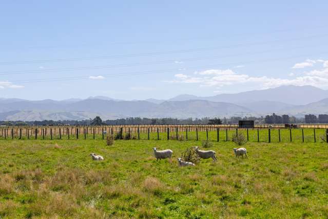 445 Perrys Road East Taratahi_2
