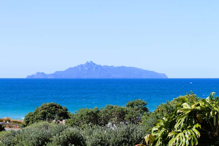 8a Wairahi Road Langs Beach_21