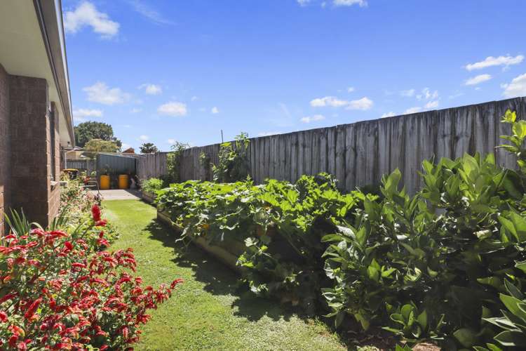 17 Mckenzie Place Matamata_18