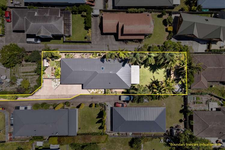 97A Hutchinson Avenue New Lynn_20