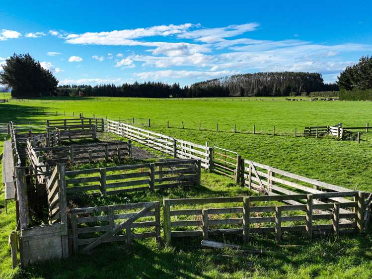 525 Woodlands-Morton Mains Road Morton Mains_13