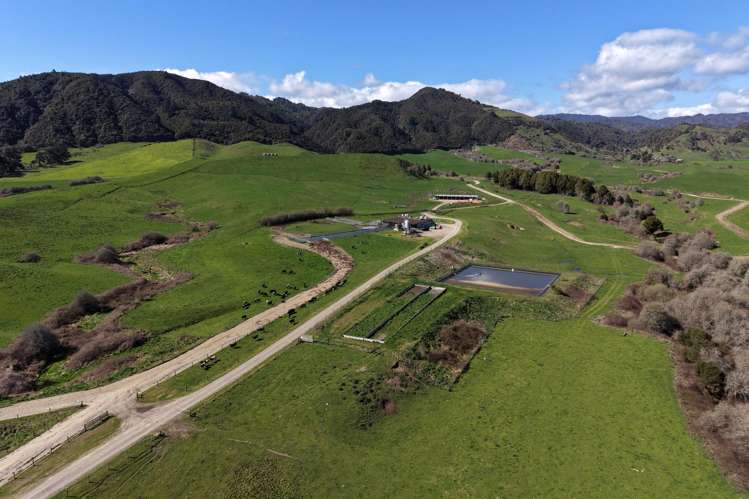 283 Minginui Road Galatea_24