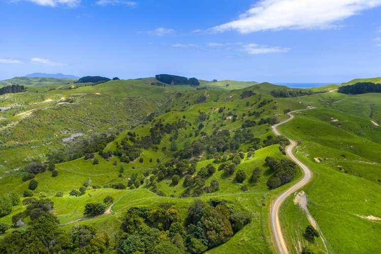 Te Akau Coast Road Te Akau_8