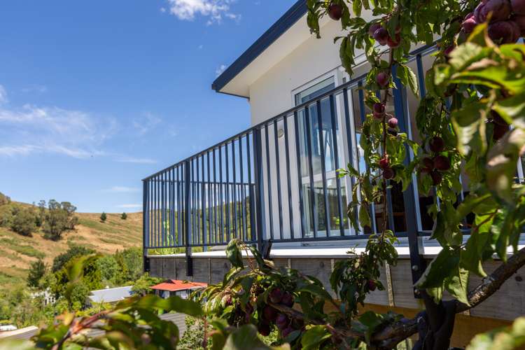 59c Toi Toi Street Toi Toi_21