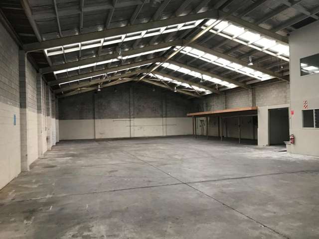 16 Olive Road Penrose_2