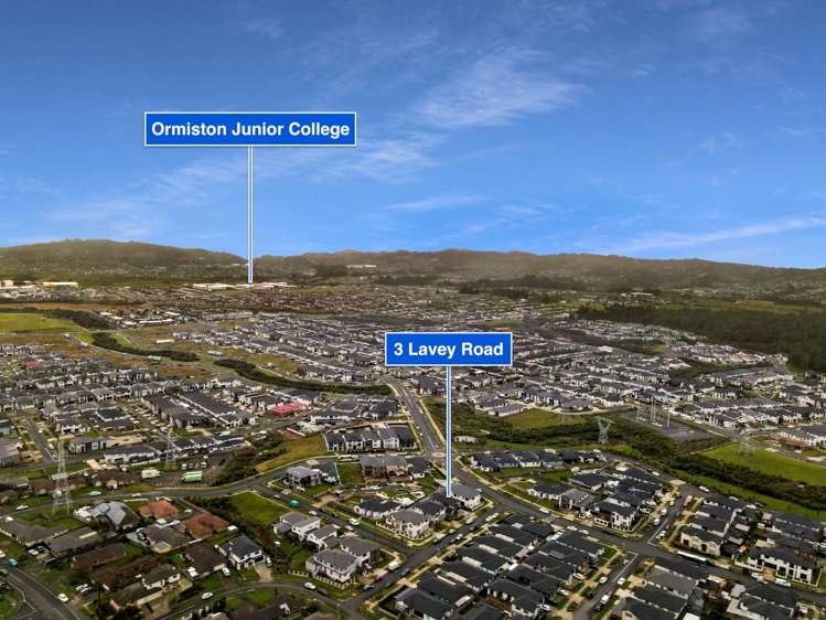 3 Lavey Road Flat Bush_20