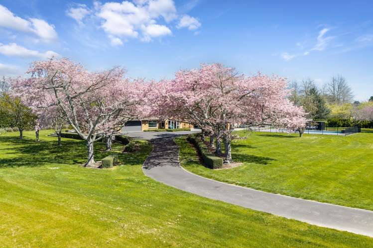 13 Meadowgreen Drive_1