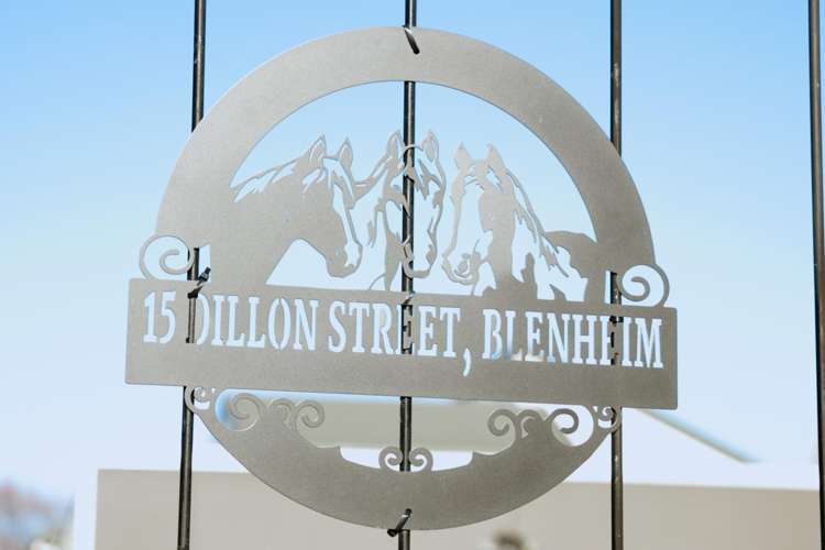 15 Dillon Street Blenheim_15
