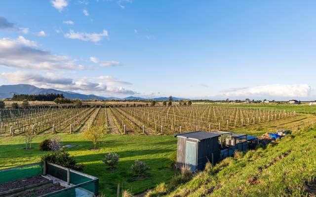 166 Morgans Road Grovetown_3