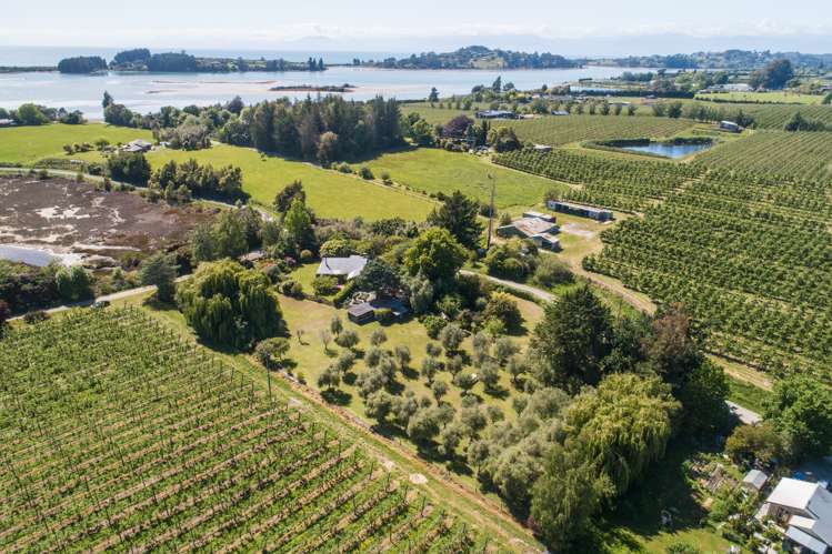 50 Eden Road Tasman_32