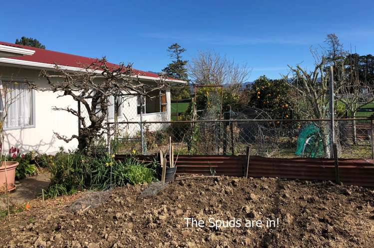 73 Cook Road Kahurangi National Park_15